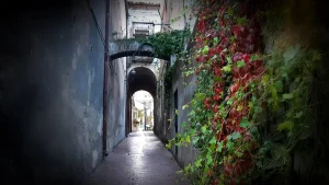 Sentiero dell’Inglese: Un Cammino tra Natura, Storia e Cultura Grecanica