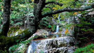 Il Sentiero del Brigante – Tra Natura Selvaggia e Storia Millenaria