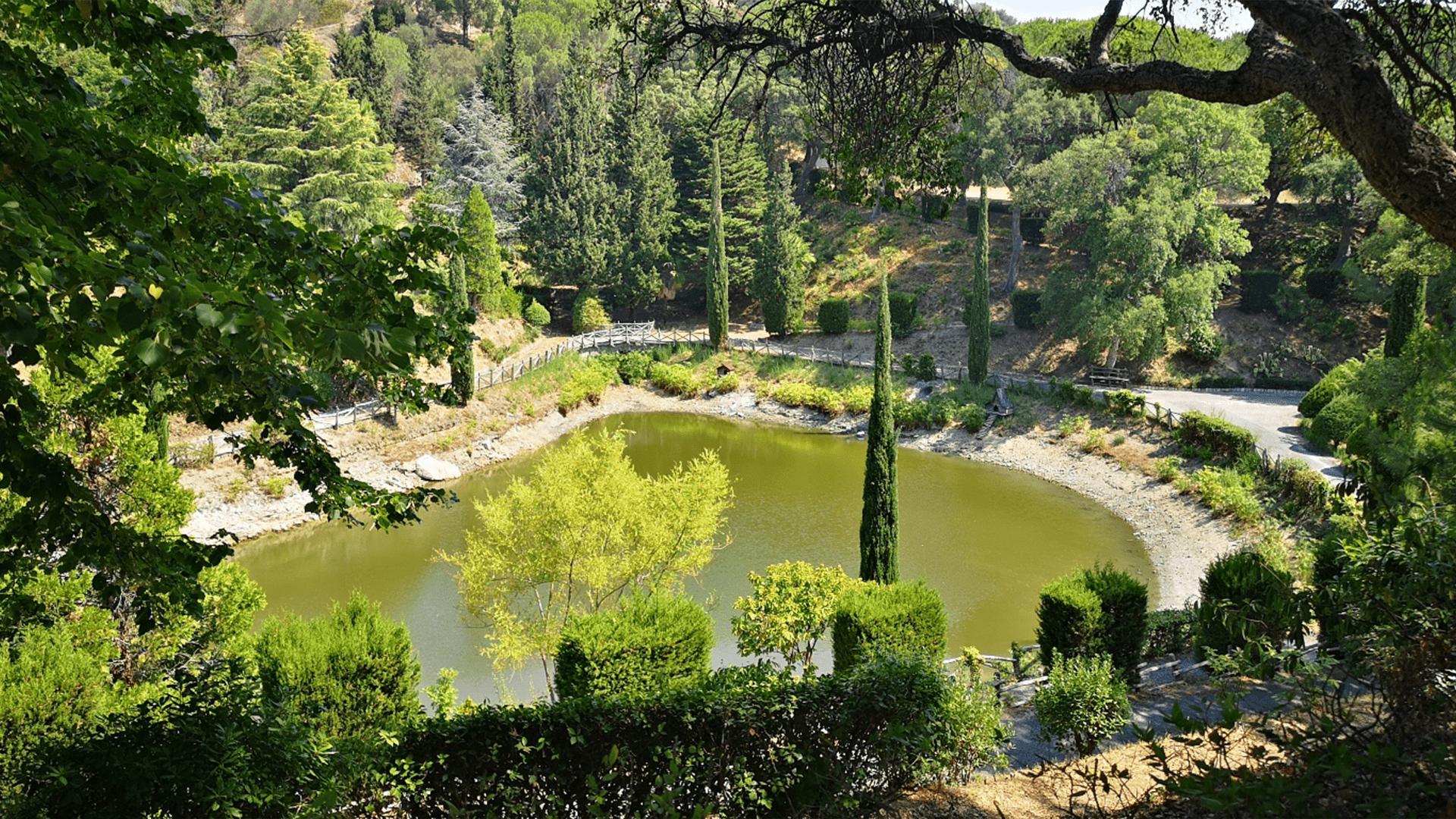 Tra pini e sentieri: la rinascita della Pineta di Siano