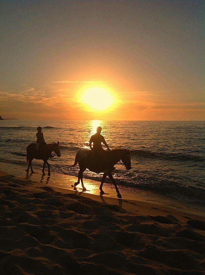 Tra terra e spirito: equitazione e yoga experience