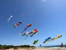 Festival degli Aquiloni