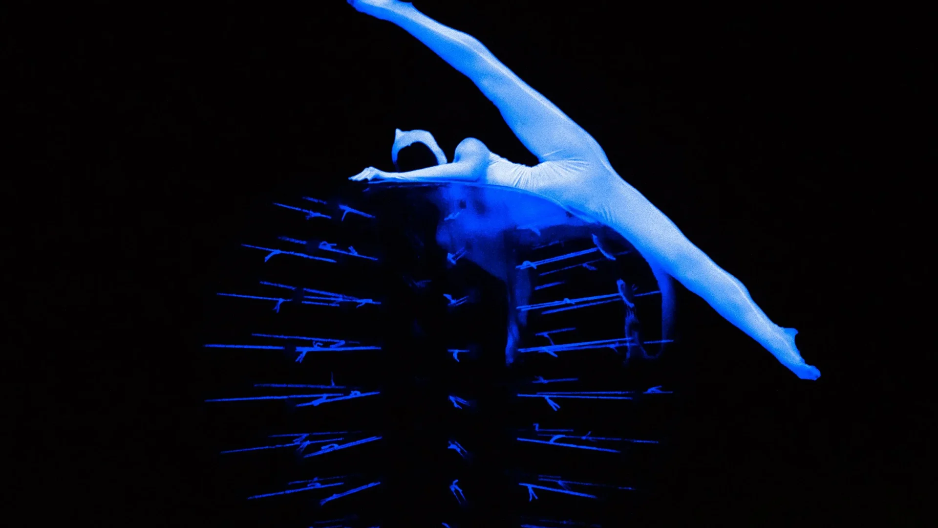 Immagine dell'evento Cosmos – Evolution Dance Theater