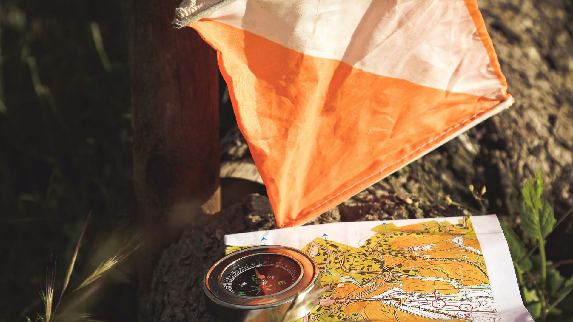 Immagine dell'itinerario Orienteering nel Parco della Biodiversità