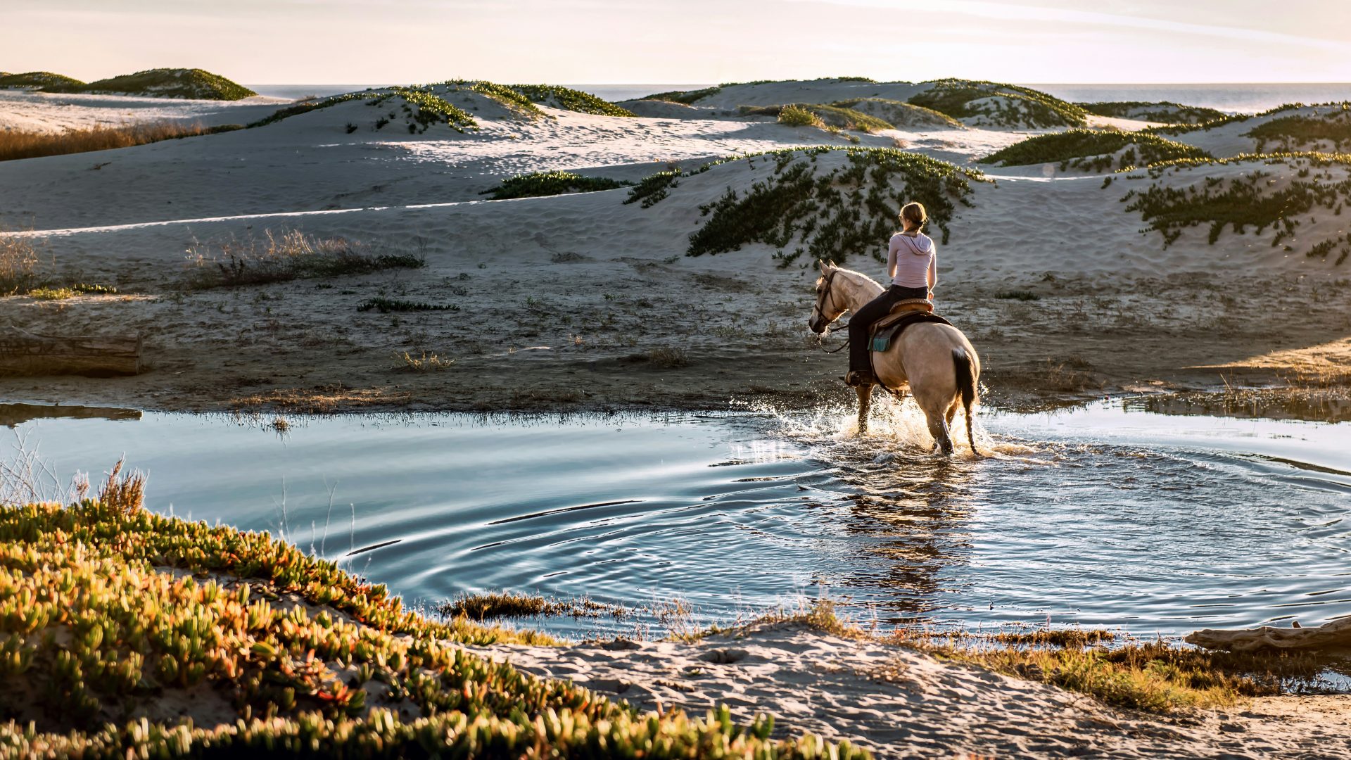 Immagine dell'itinerario Passeggiata a cavallo verso le dune di giovino
