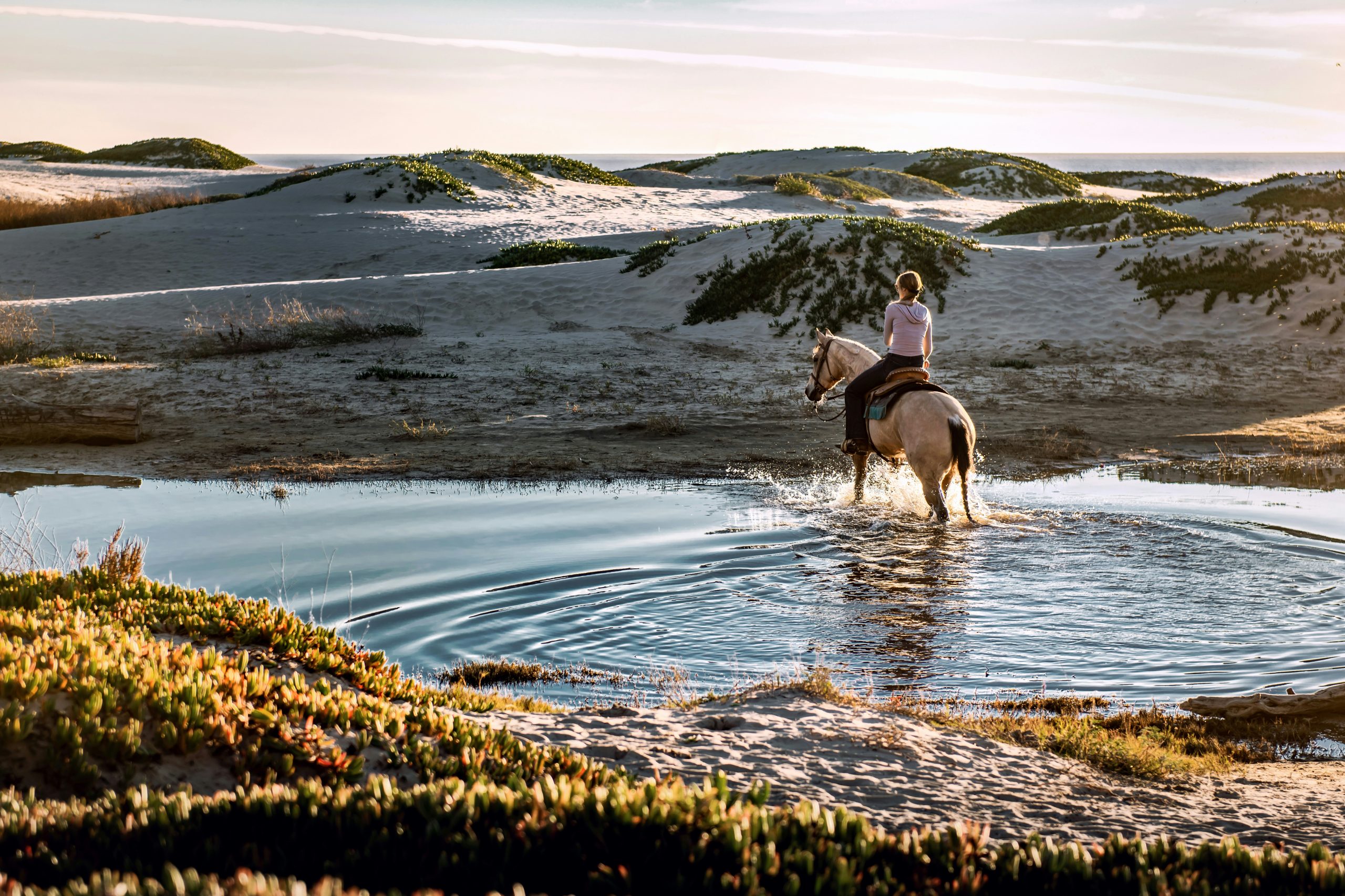 Passeggiata a cavallo verso le dune di giovino