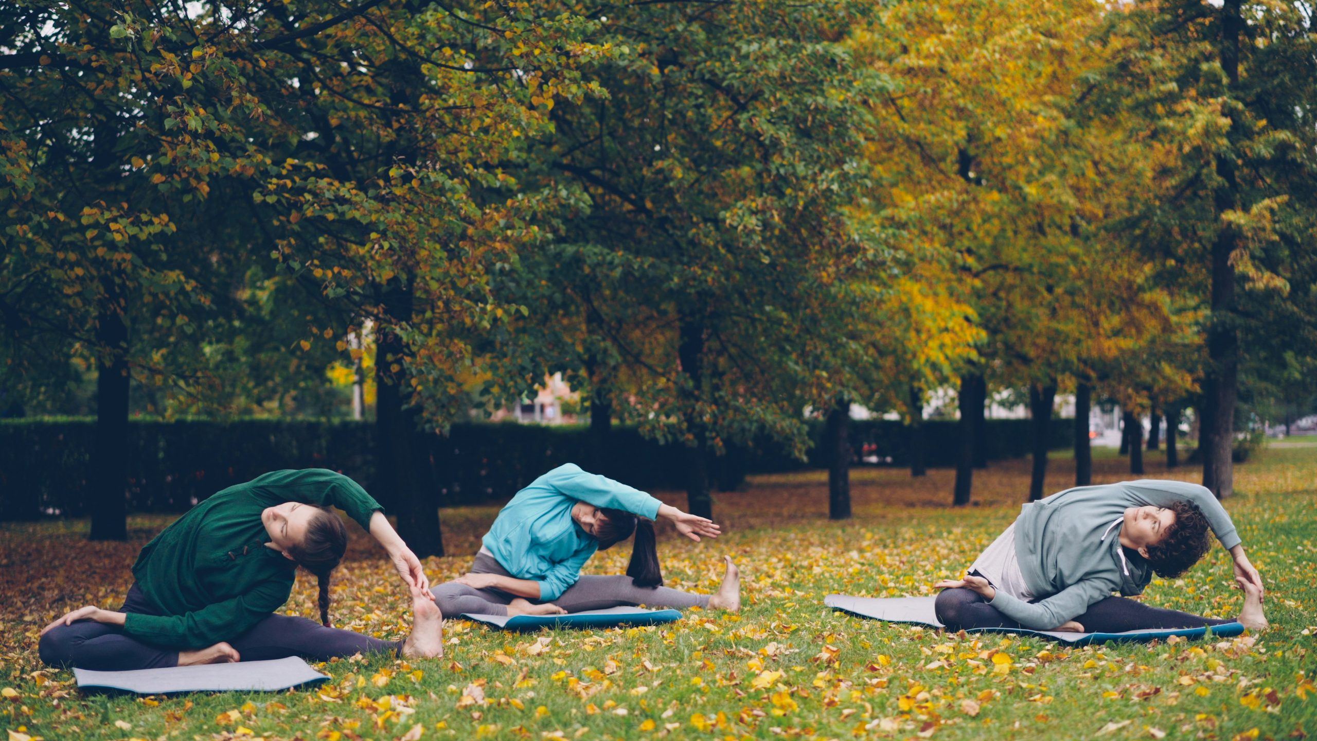 Yoga nel parco