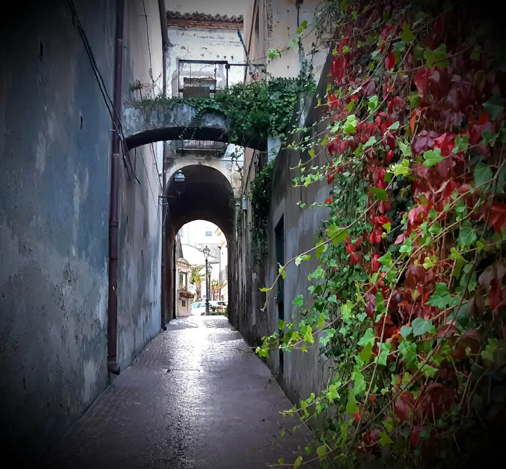 Vichi Vichi experience