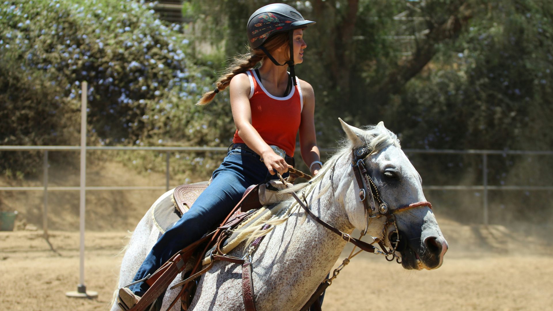 Immagine dell'itinerario Equitazione ricreativa in maneggio