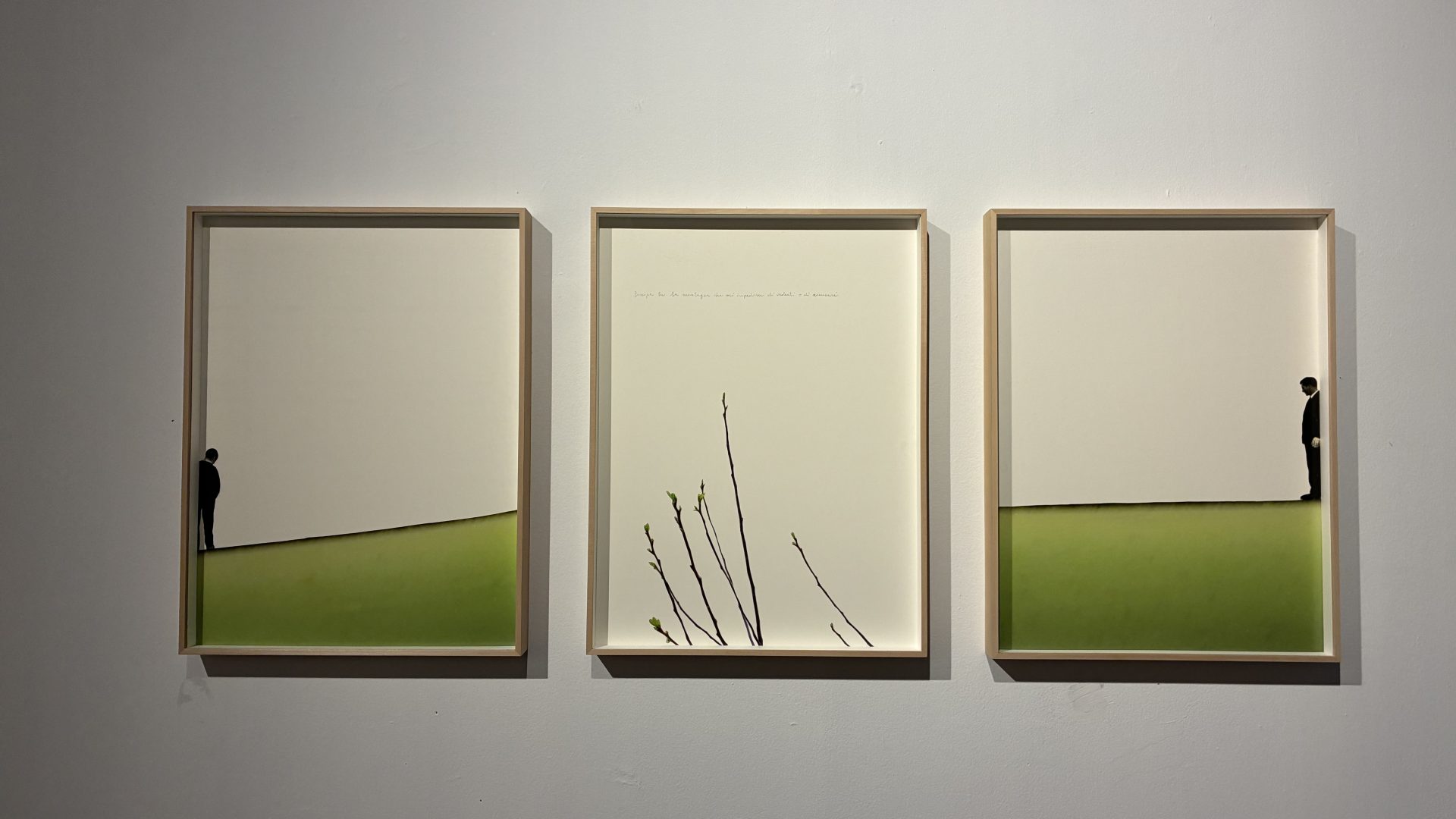 Immagine dell'evento Cuntàra Cùnti – Mostra