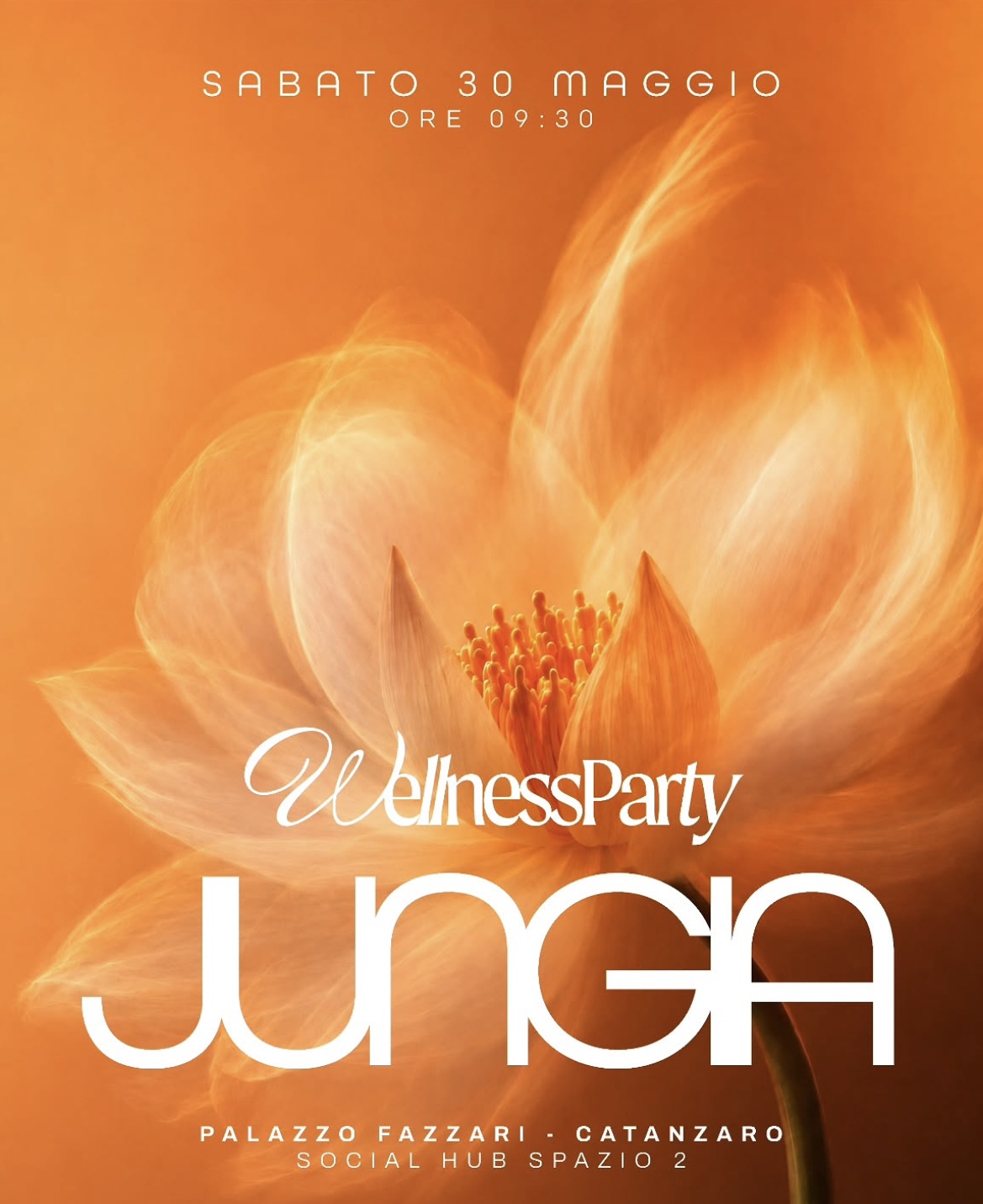 Jungia Experience – Wellness Party